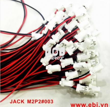 Đầu Jack Pin M2P02#003
