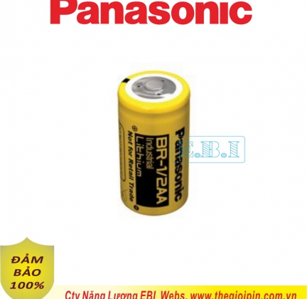 Pin Cell PANASONIC BR-1/2A 3V