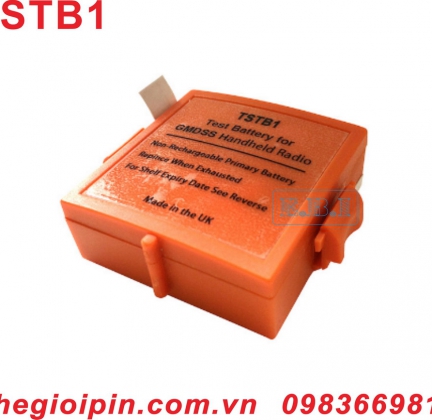 PIN TSTB1 Marine Battery