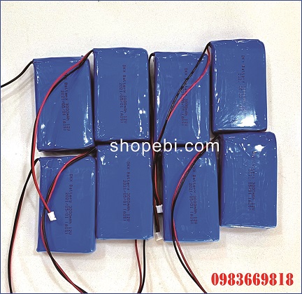 Pin Polymer Phao AIS 12V/3000mAh