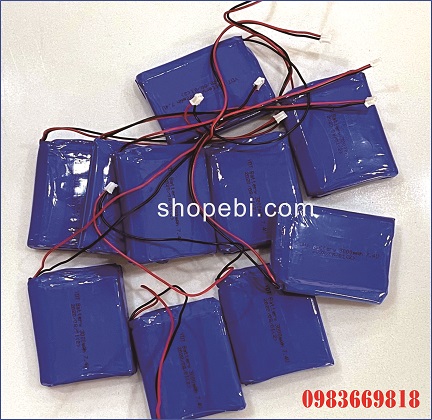 Pin Polymer Phao AIS 8.4V/3000mAh